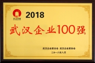 2018武漢企業(yè)100強